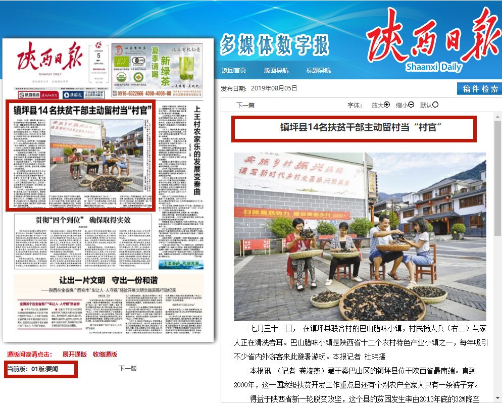 深夜高架桥上的悲剧：车祸死亡新闻背后的警示
